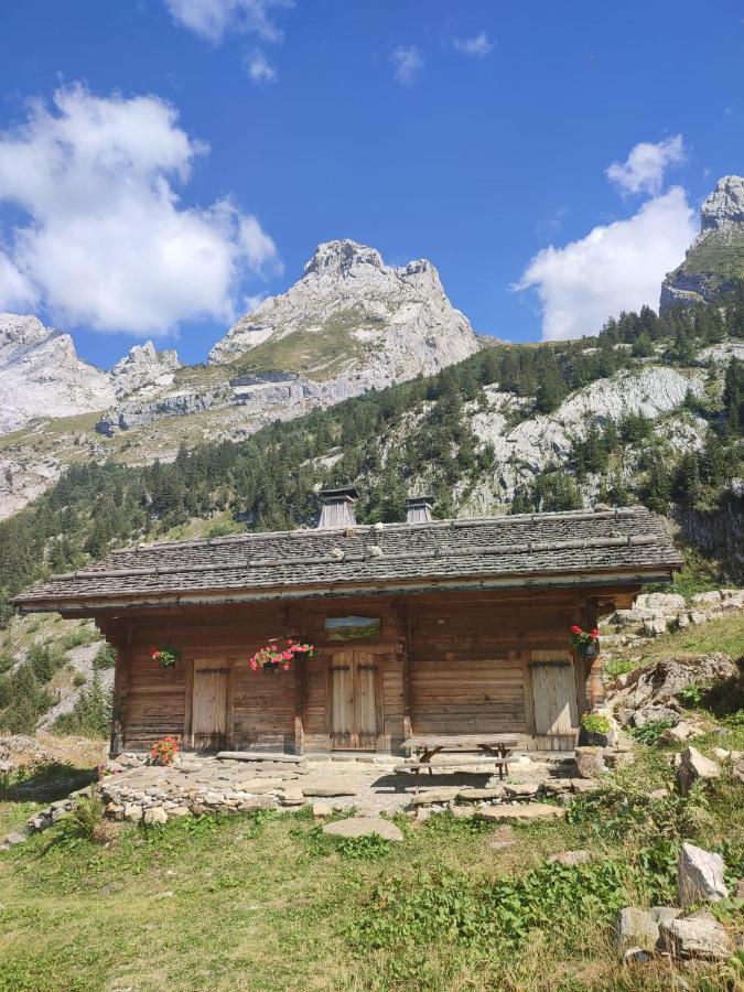 Villa La Petite Anfiane Le Grand-Bornand Exterior foto